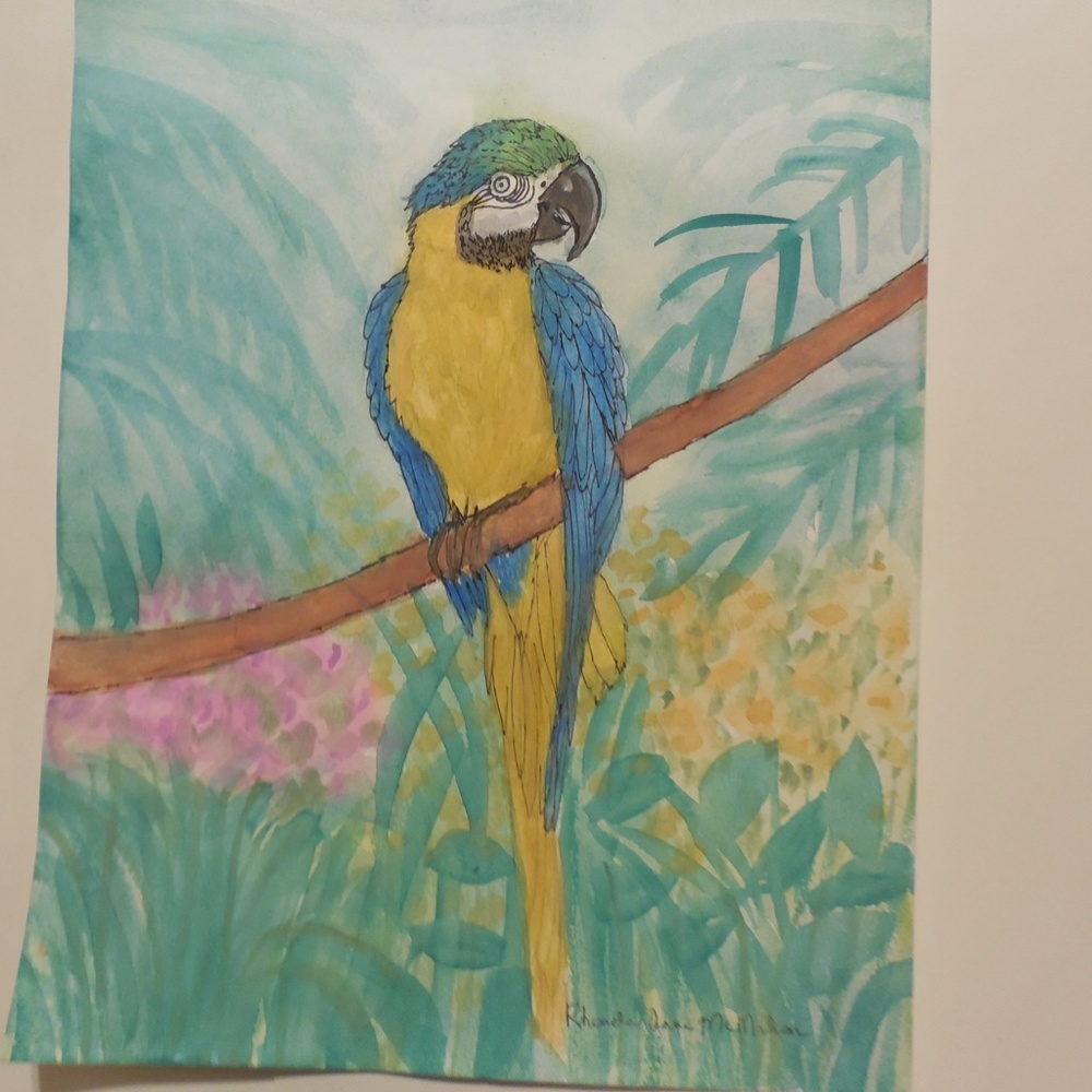 Original Watercolor Macaw Parrot HAND CRAFTED Painting - Picture 7 of 10